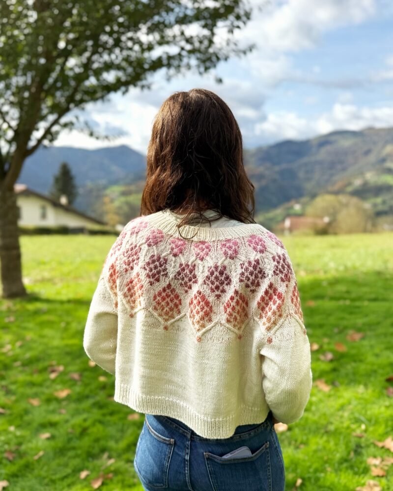 zizia sweater colorwork sweater color patrón punto yoke trenzas cables