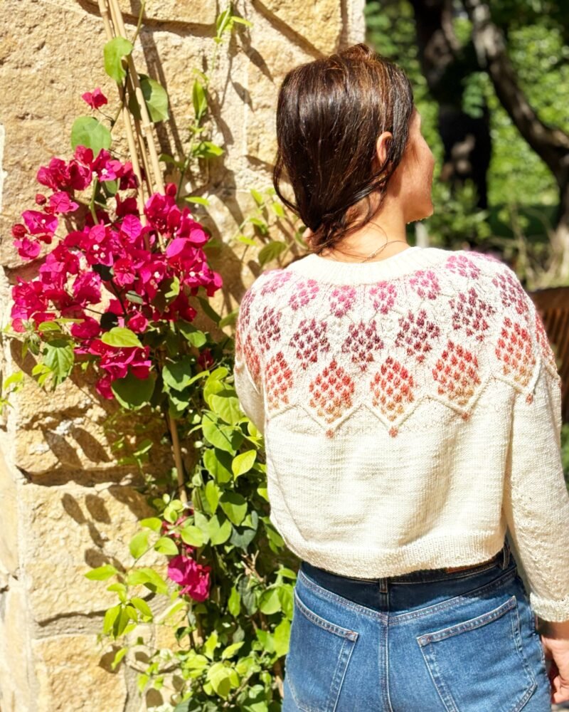 zizia sweater colorwork sweater color patrón punto yoke trenzas cables