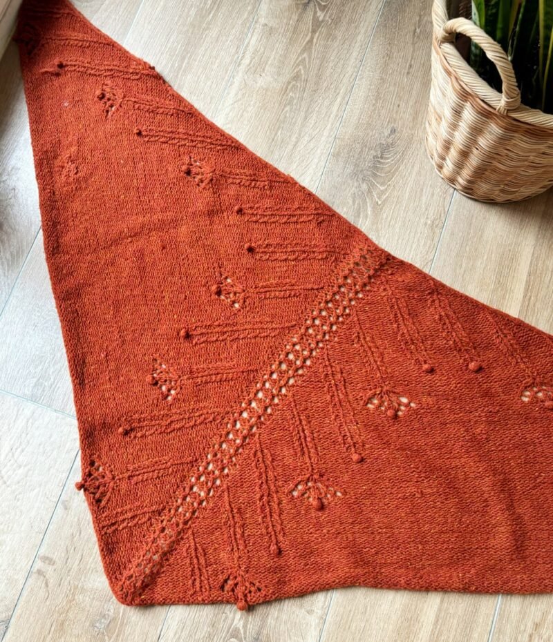 chal jaio shawl manchelopis