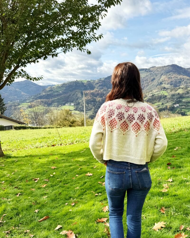 zizia sweater colorwork sweater color patrón punto yoke trenzas cables