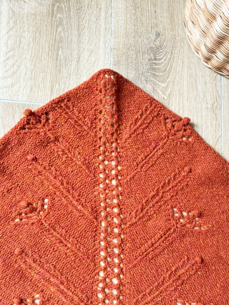 chal jaio shawl manchelopis