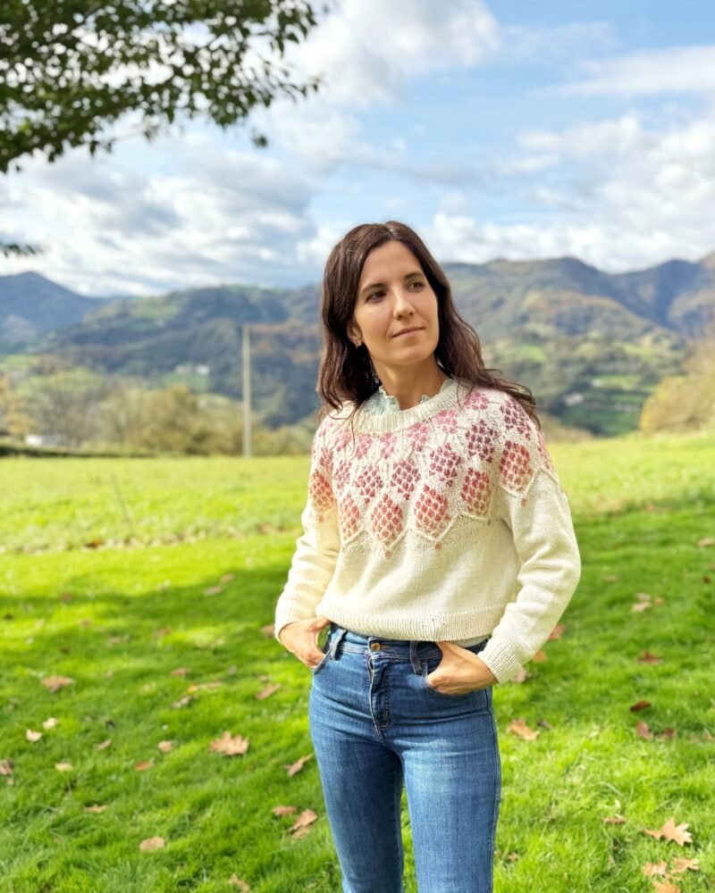 zizia sweater colorwork sweater color patrón punto yoke trenzas cables