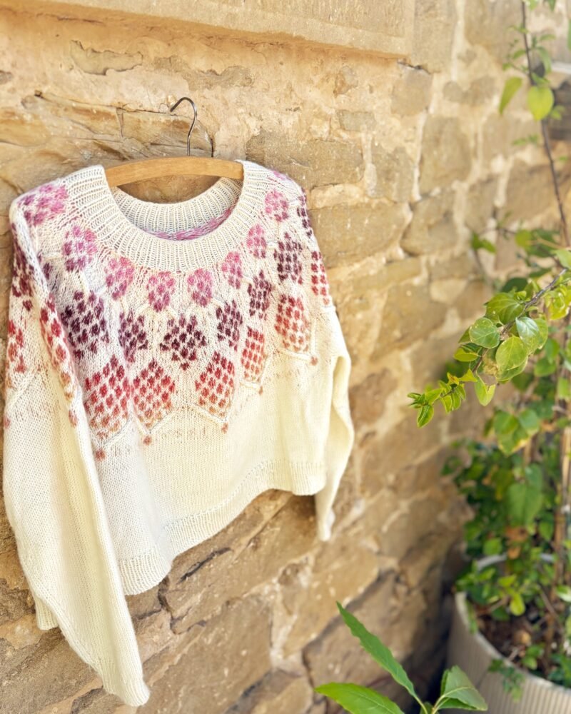 zizia sweater colorwork sweater color patrón punto yoke trenzas cables