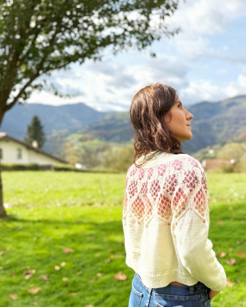 zizia sweater colorwork sweater color patrón punto yoke trenzas cables