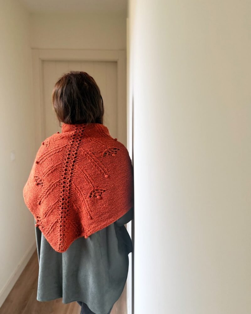 chal jaio shawl manchelopis