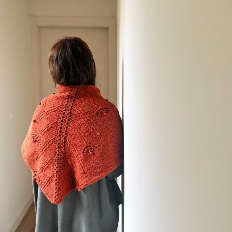 chal jaio shawl manchelopis