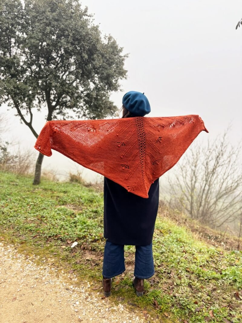 chal jaio shawl manchelopis wooldreamers